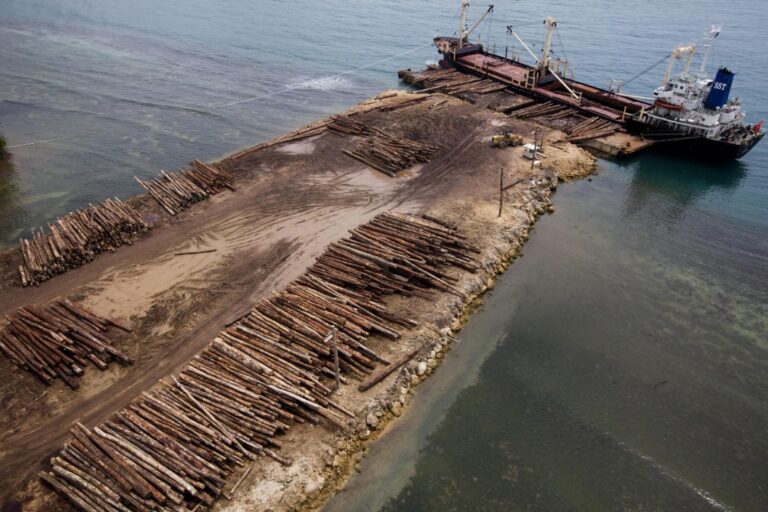 Concerns raised over Log Exports to Malaysia