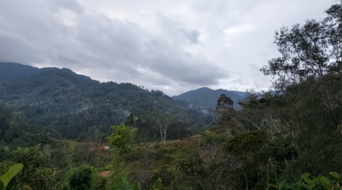 Environment Conservation and Land Management