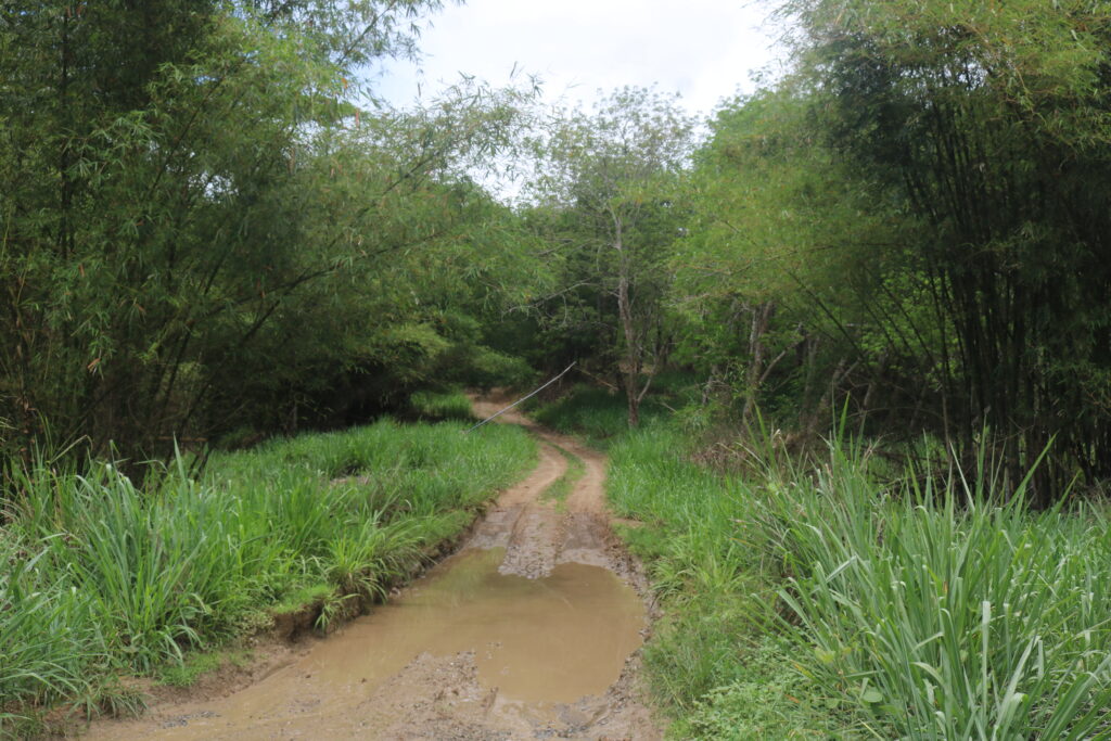 Popular Game Fishing Kanosia Road to be Upgraded Kanosia Road