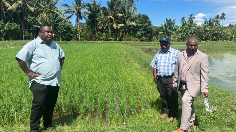 Rice Board Discusses Partnership with NARI for Largescale Production