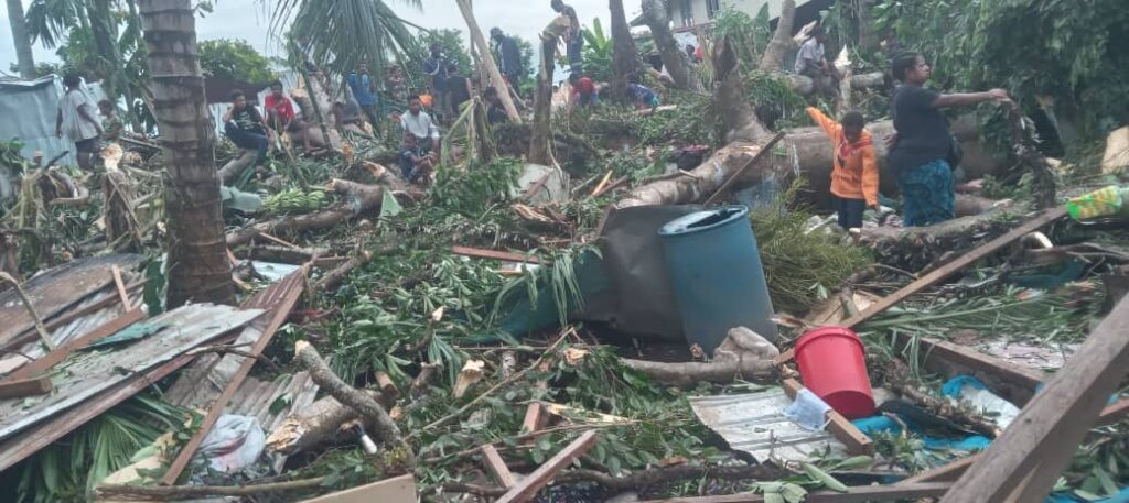 Falling Tree Kills Woman and Two Children