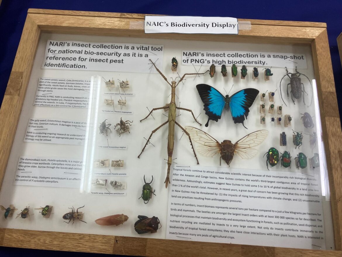 Renovation Work Commences at Insect Collection Centre